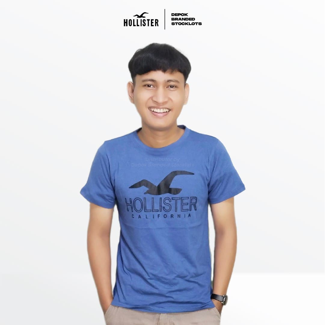 Grosir T-shirt Hollister Dewasa Murah 01